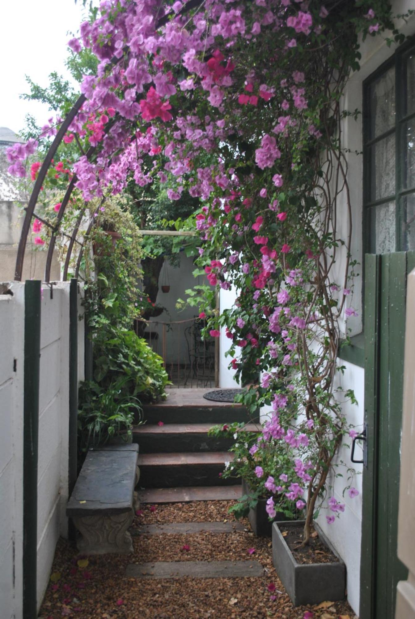 Buckhouse Elegant Village Apartment 海德堡 外观 照片